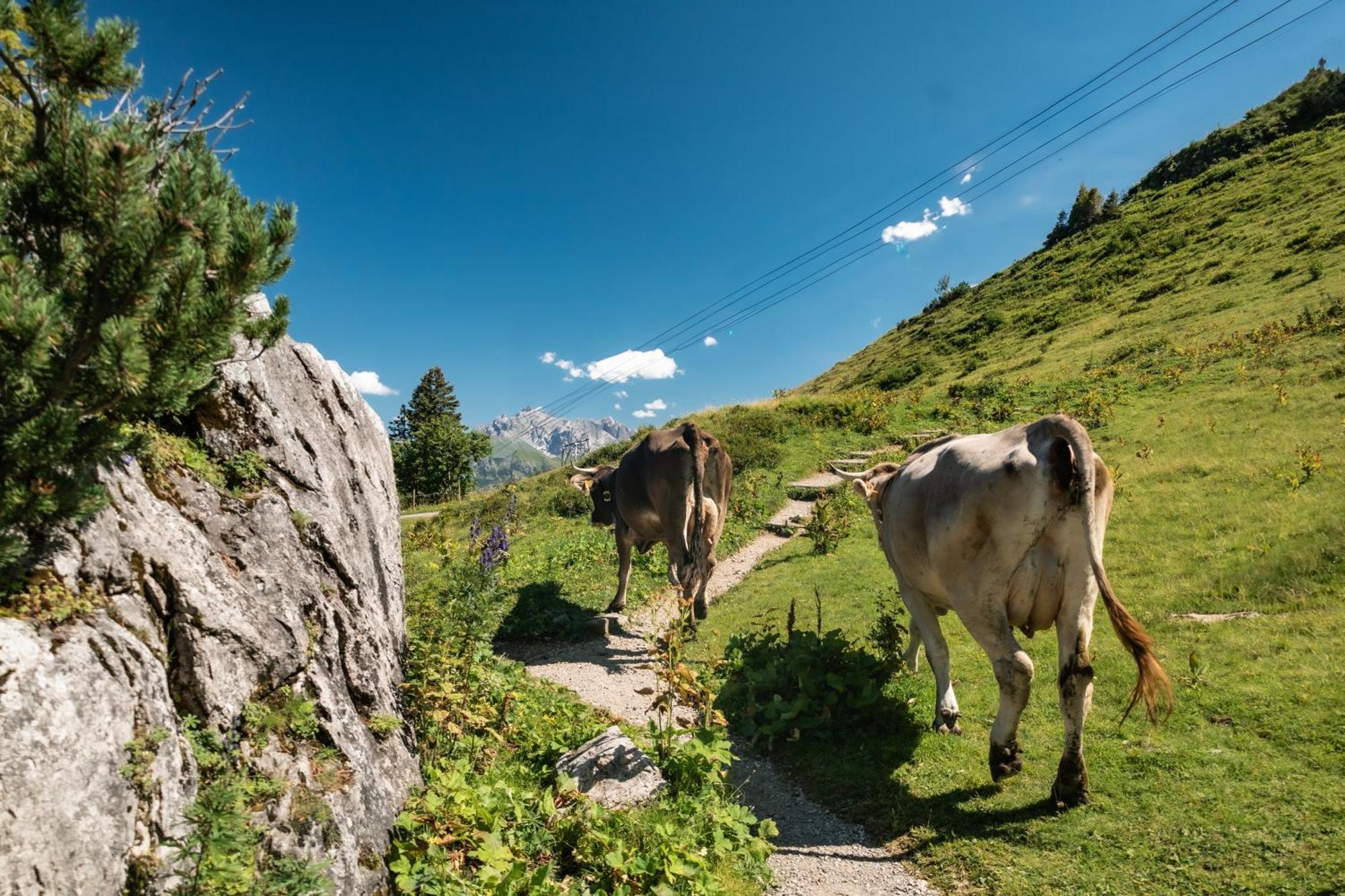 Ferienhaus Geiger Oberstdorf Extérieur photo